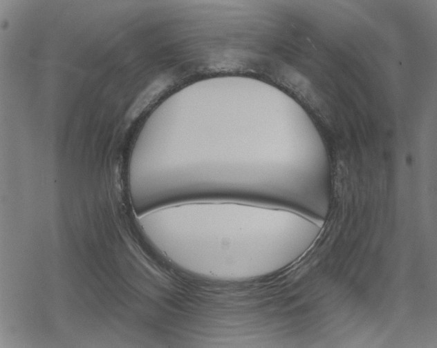 X0000069810116200605190855