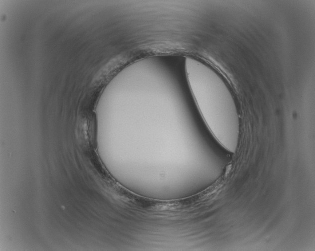 X0000069810117200605190855