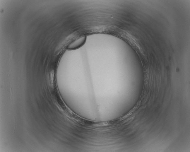 X0000069810118200605190855