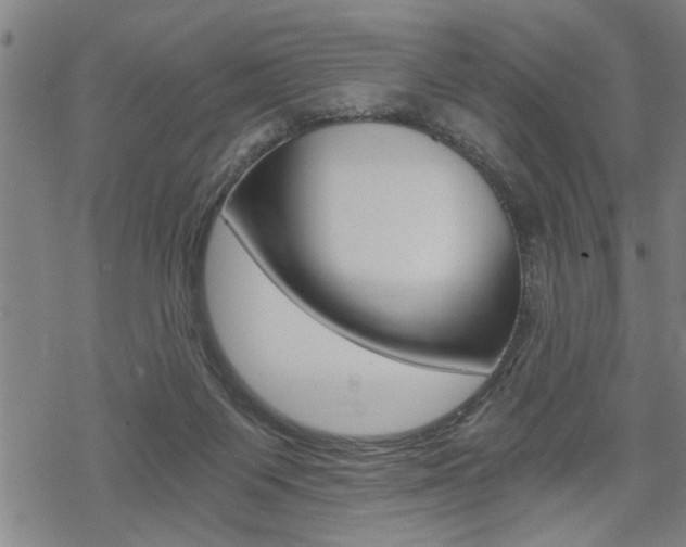 X0000069810119200605190855