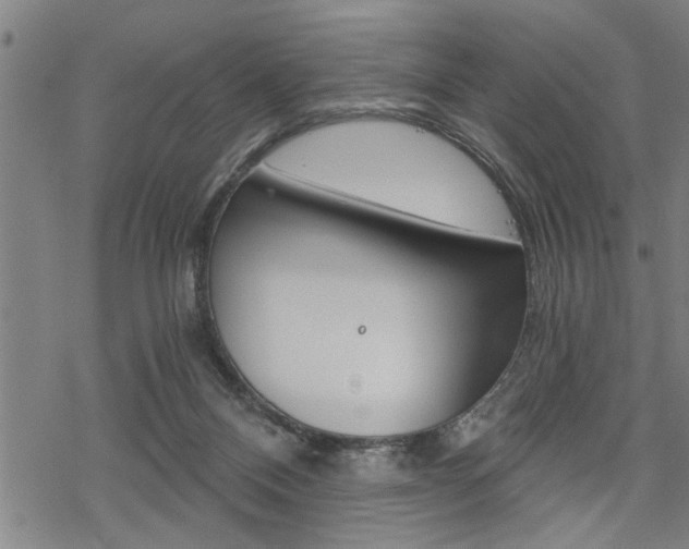 X0000069810120200605190855