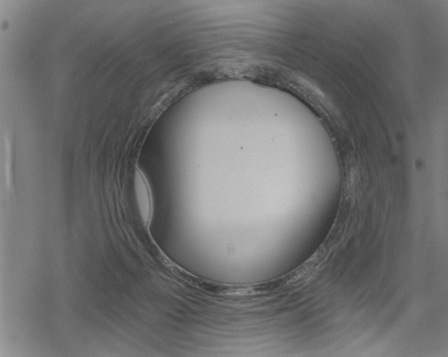 X0000069810121200605190855