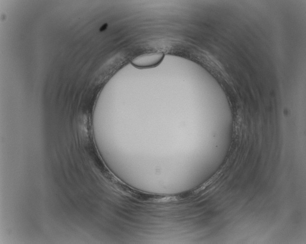 X0000069810122200605190855