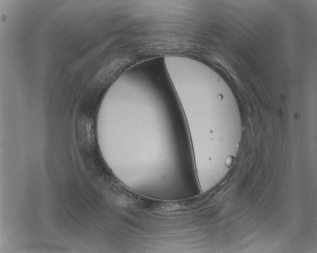 X0000069810123200605190854