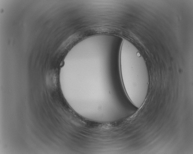 X0000069810124200605190854