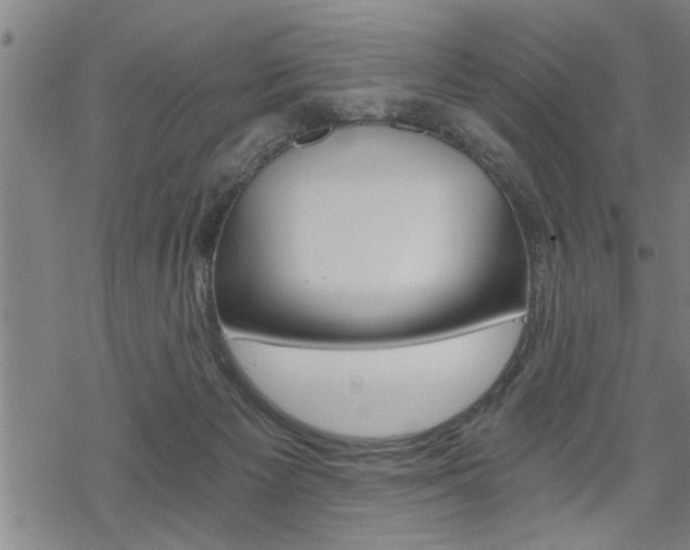 X0000069810125200605190854