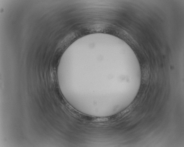 X0000069810126200605190854