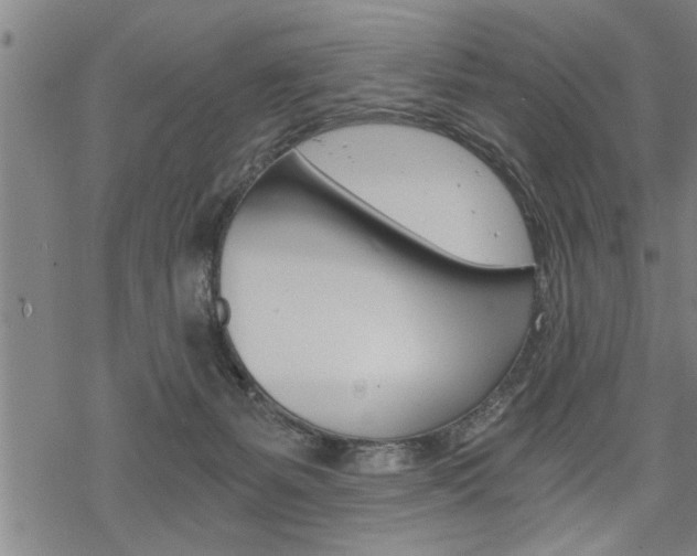 X0000069810127200605190854