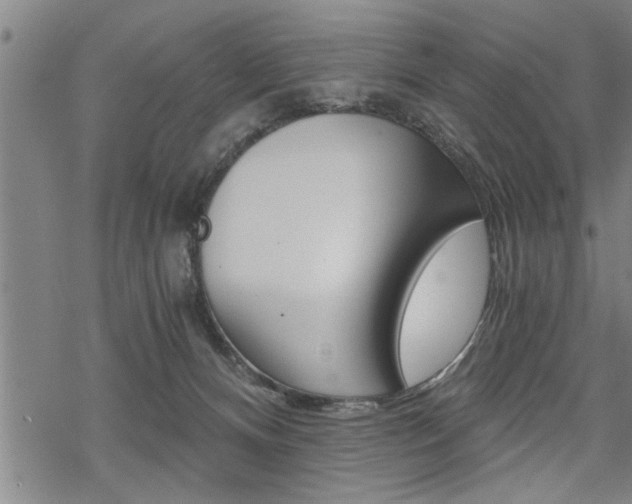 X0000069810128200605190854