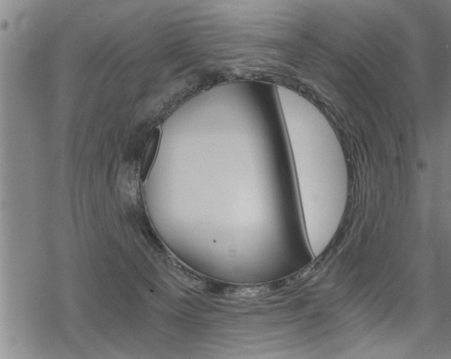 X0000069810129200605190854