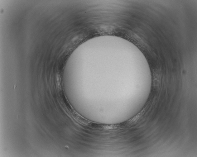 X0000069810130200605190854