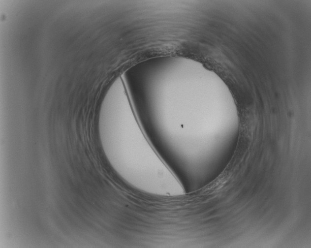 X0000069810131200605190854