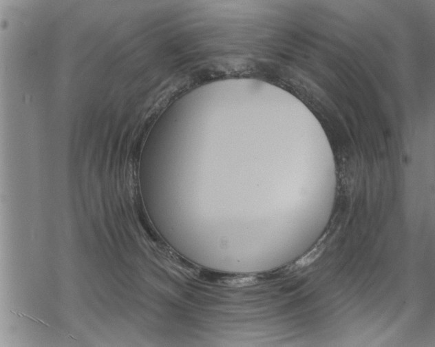 X0000069810132200605190854