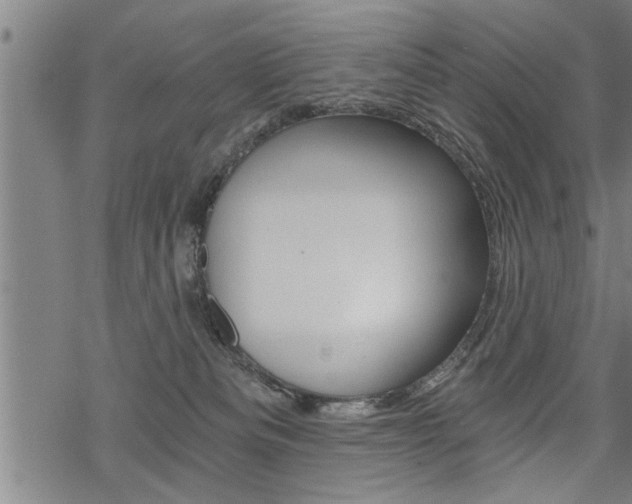 X0000069810133200605190854