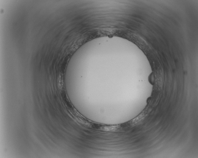 X0000069810134200605190854