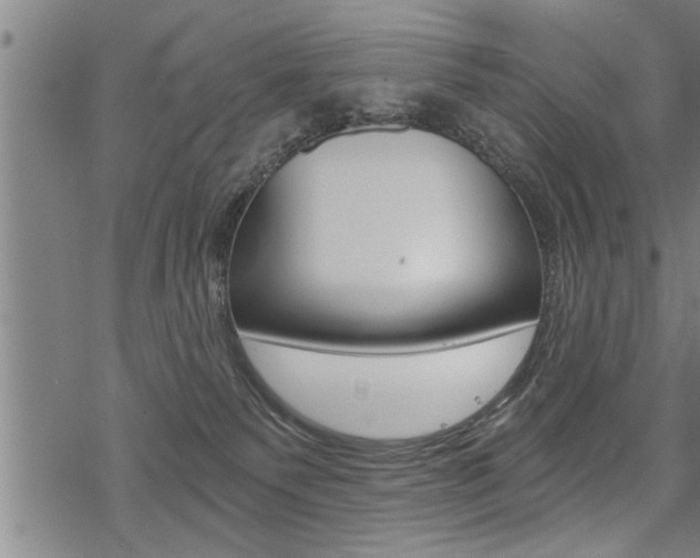 X0000069810135200605190854