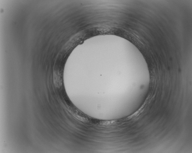 X0000069810136200605190854