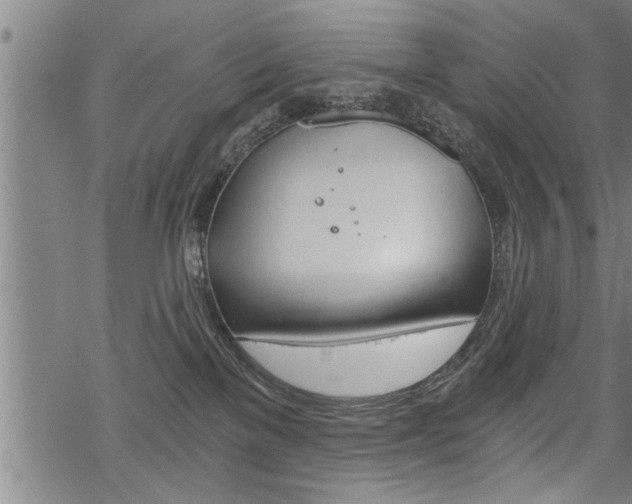 X0000069810137200605190854