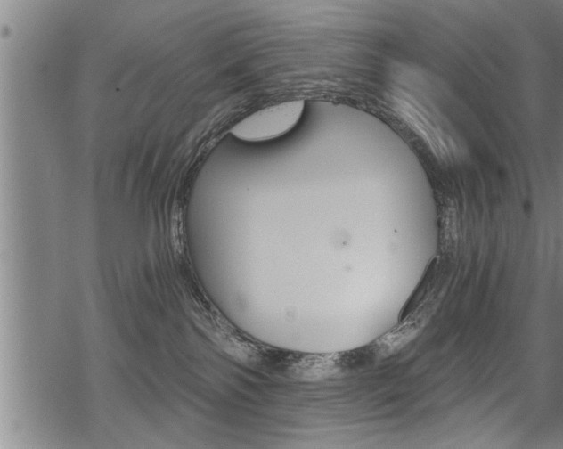 X0000069810138200605190854