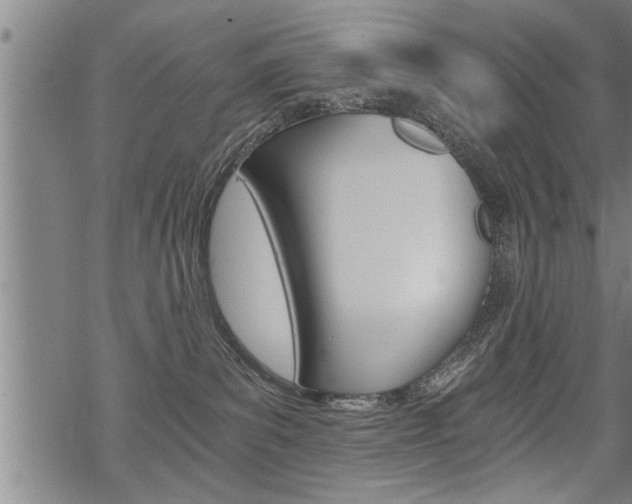 X0000069810139200605190854