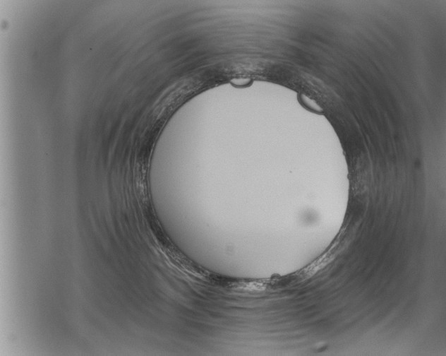 X0000069810140200605190854