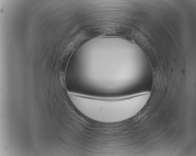 X0000069810141200605190854