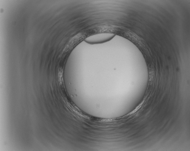 X0000069810142200605190854