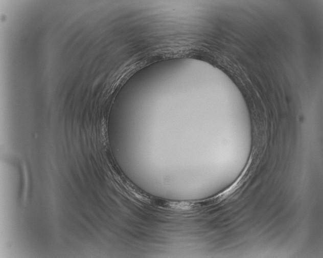 X0000069810144200605190854