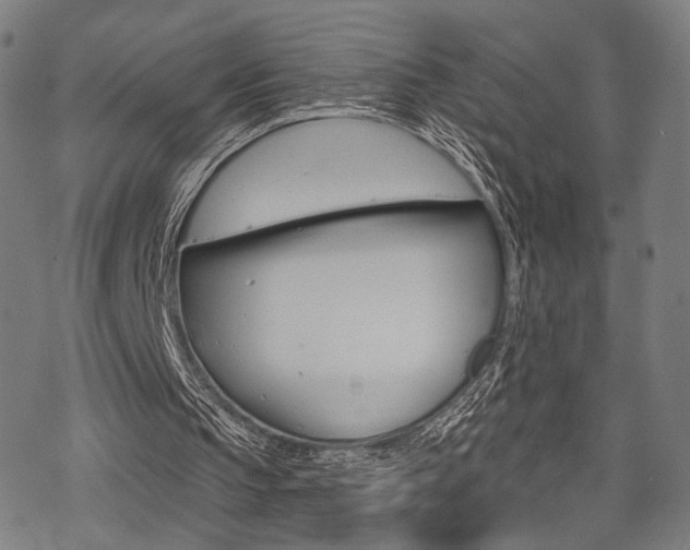 X0000069810145200605190853