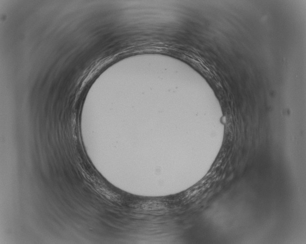 X0000069810146200605190853