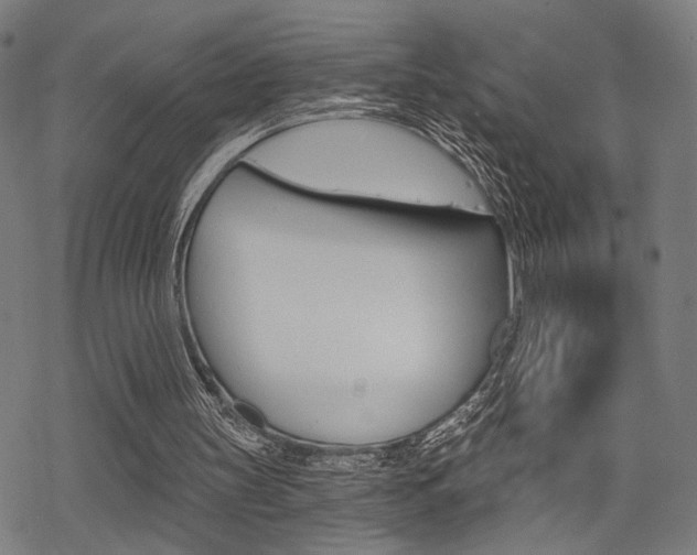 X0000069810147200605190853