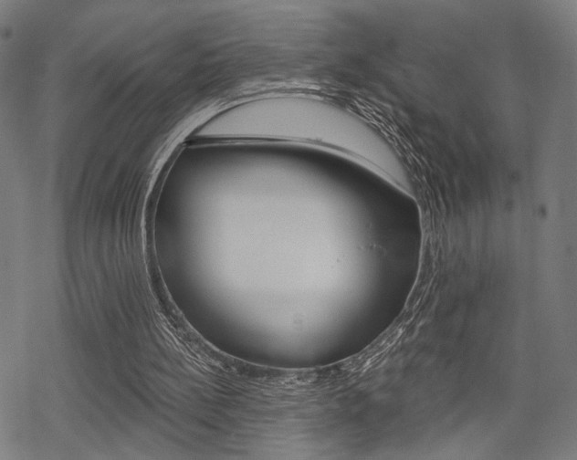 X0000069810148200605190853