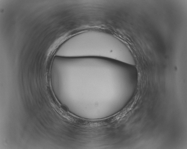 X0000069810149200605190853