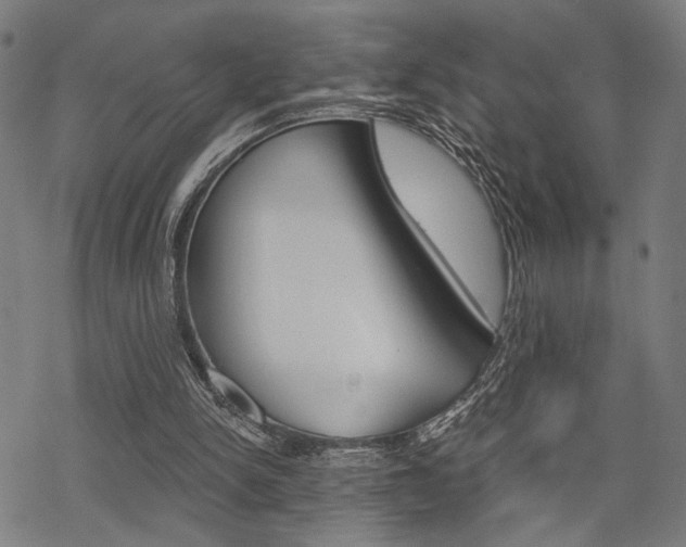 X0000069810150200605190853