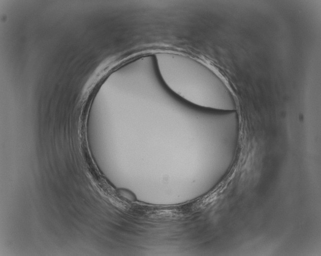 X0000069810151200605190853