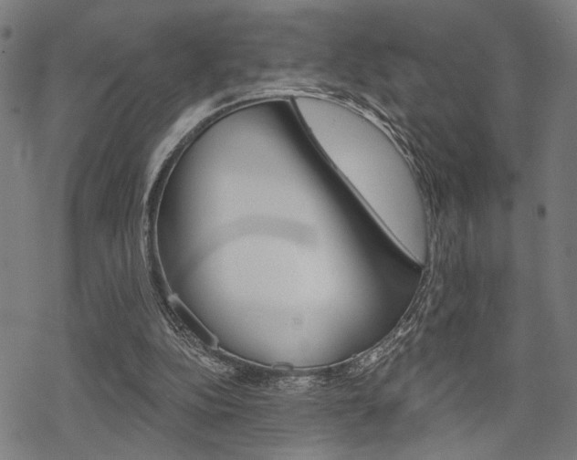 X0000069810152200605190853