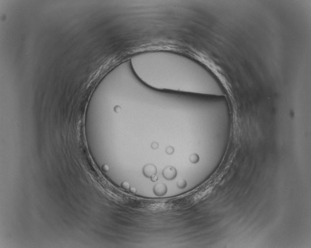 X0000069810153200605190853