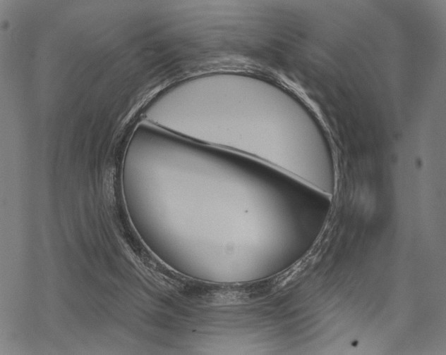 X0000069810154200605190853