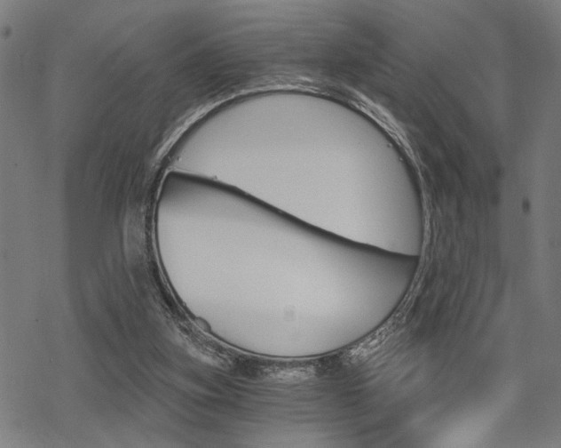 X0000069810155200605190853