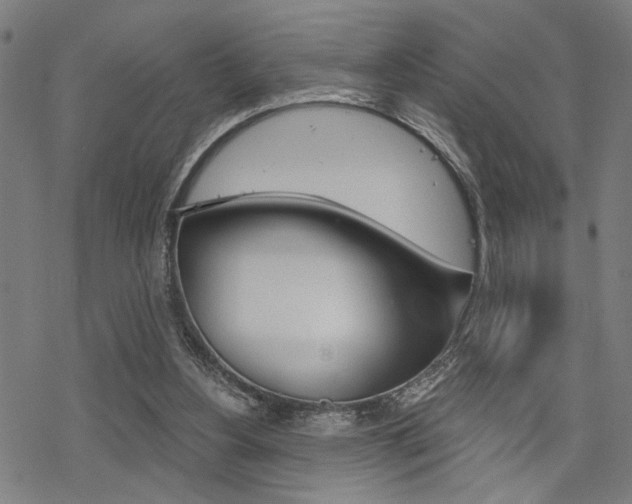 X0000069810156200605190854