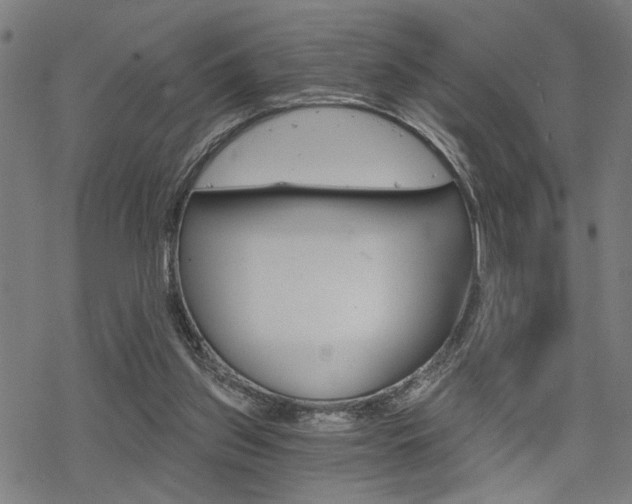 X0000069810157200605190854