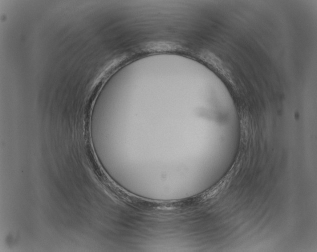 X0000069810159200605190854