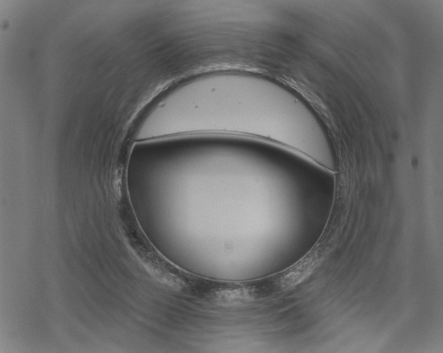 X0000069810160200605190854