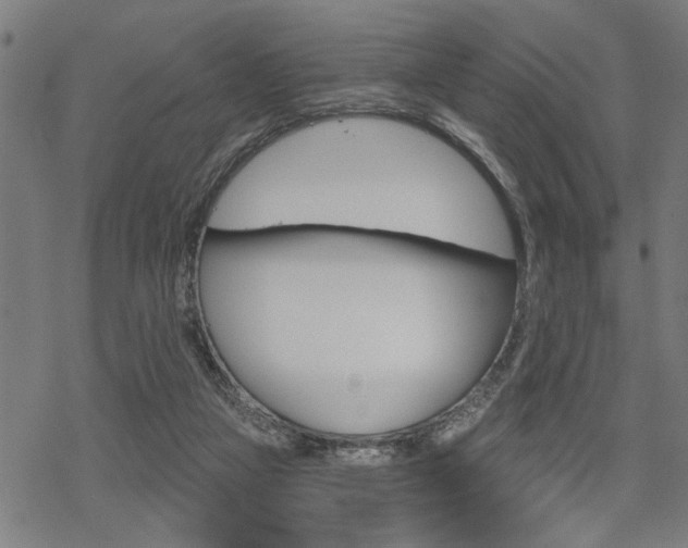 X0000069810161200605190854