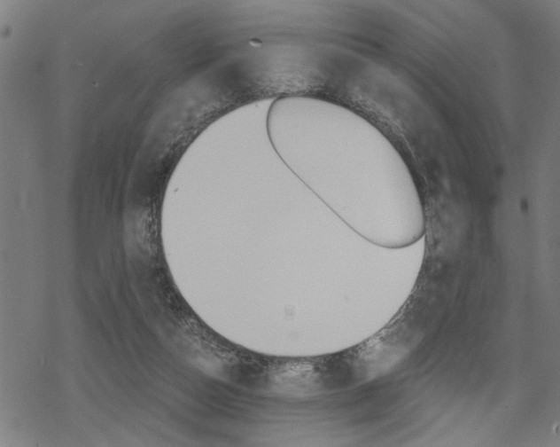 X0000069810162200605190854