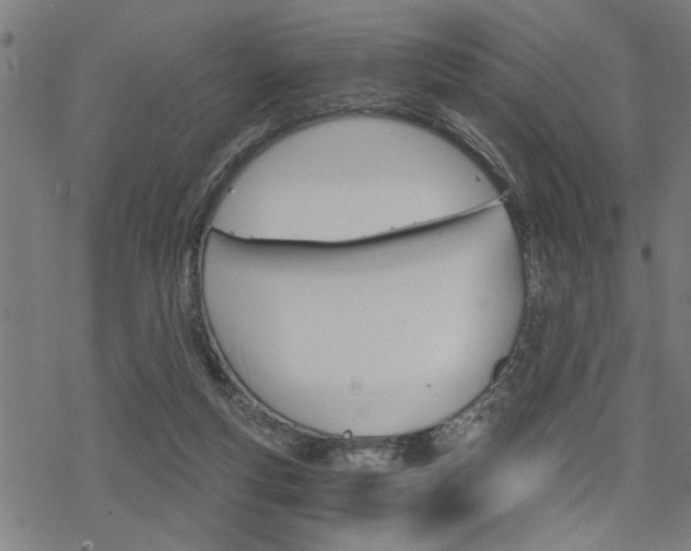 X0000069810163200605190854