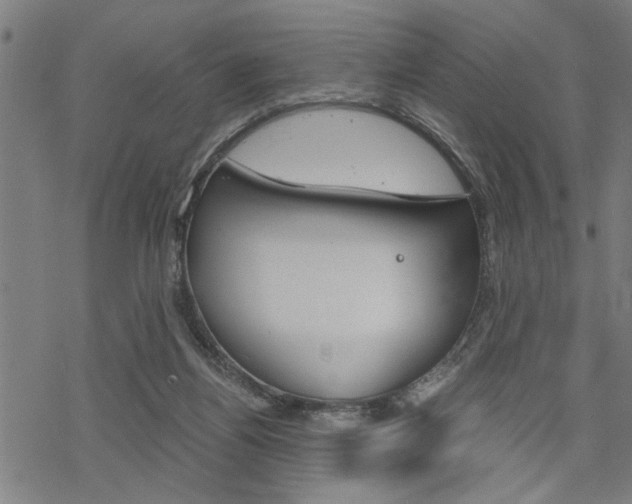 X0000069810164200605190854