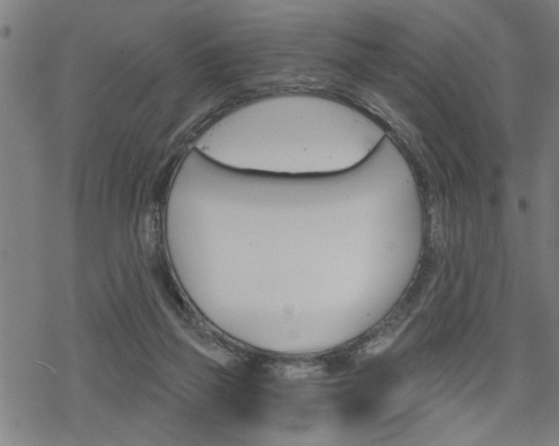 X0000069810165200605190854