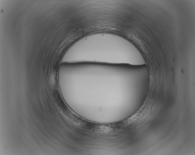 X0000069810166200605190854