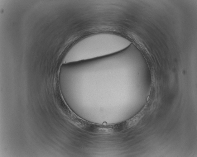 X0000069810167200605190854